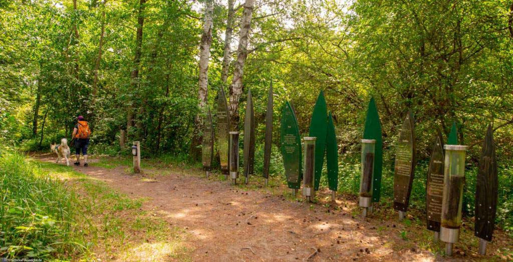 Birgeler Urwald Fahrrad