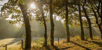 Trekking Hessen 306