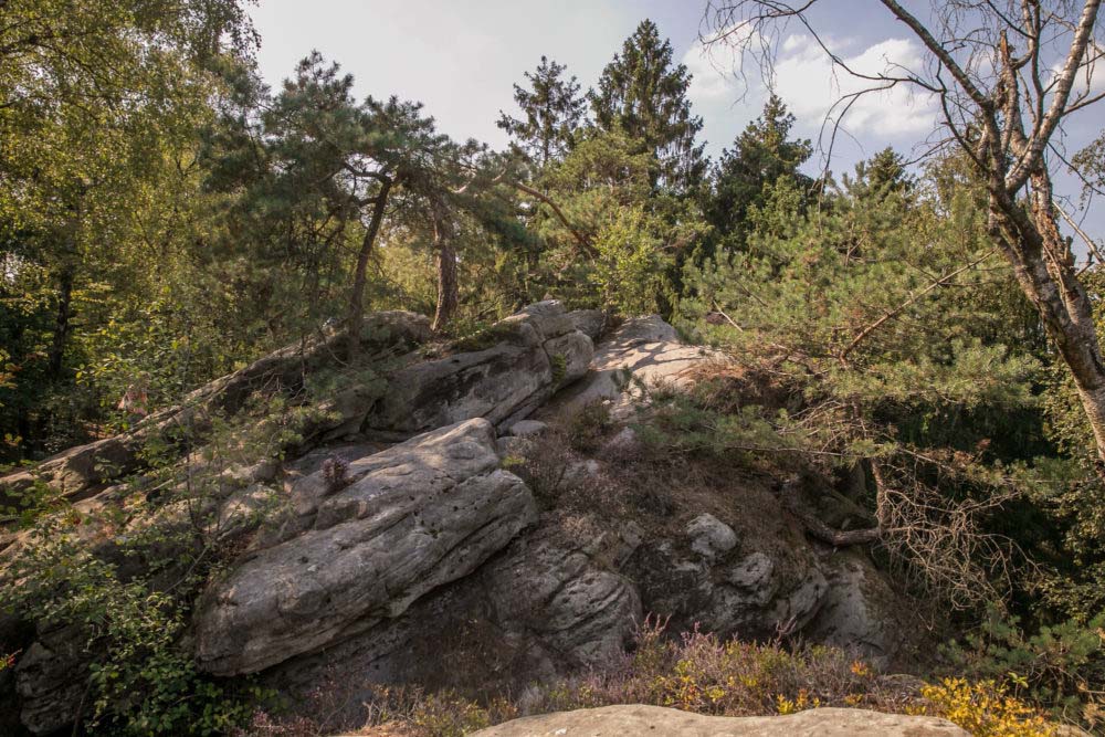 Dörenther Klippen 2 Dreikaiserstuhl