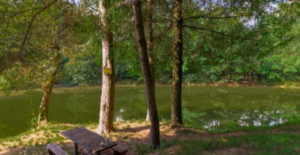 Blogs rund ums Wandern – so gelingt der Start