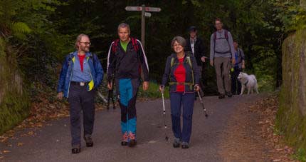 Wald Marathon - 7 Premiumwege und Saumagen 41 Wald Marathon - 7 Premiumwege und Saumagen 41