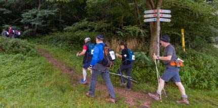 Wald Marathon - 7 Premiumwege und Saumagen 1