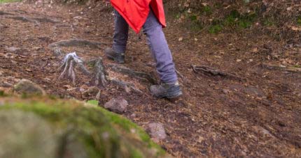 Wald Marathon - 7 Premiumwege und Saumagen 36 Wald Marathon - 7 Premiumwege und Saumagen 36