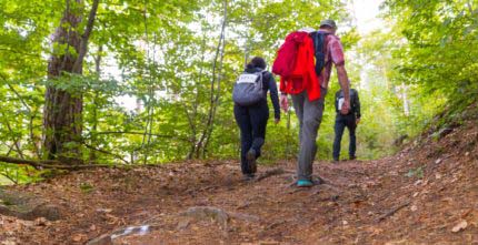 Wald Marathon - 7 Premiumwege und Saumagen 33 Wald Marathon - 7 Premiumwege und Saumagen 33