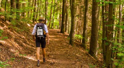 Wald Marathon - 7 Premiumwege und Saumagen 24 Wald Marathon - 7 Premiumwege und Saumagen 24