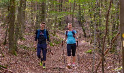 Wald Marathon - 7 Premiumwege und Saumagen 20 Wald Marathon - 7 Premiumwege und Saumagen 20