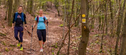 Wald Marathon - 7 Premiumwege und Saumagen 19 Wald Marathon - 7 Premiumwege und Saumagen 19