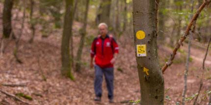 Wald Marathon - 7 Premiumwege und Saumagen 18 Wald Marathon - 7 Premiumwege und Saumagen 18