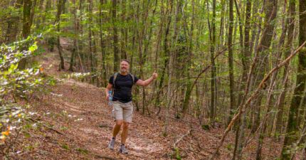 Wald Marathon - 7 Premiumwege und Saumagen 15 Wald Marathon - 7 Premiumwege und Saumagen 15
