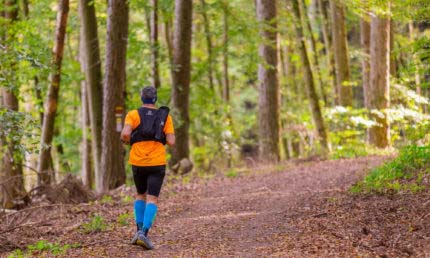 Wald Marathon - 7 Premiumwege und Saumagen 14 Wald Marathon - 7 Premiumwege und Saumagen 14