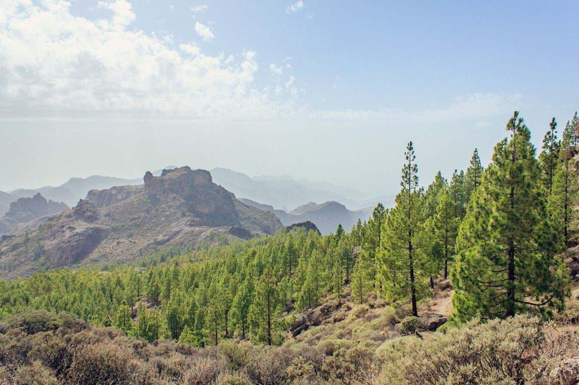 Trekking auf Gran Canaria: das brauchst du 1