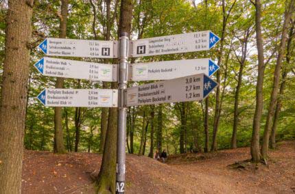 Hermannsweg Etappe 2 - Grandiose Abwechslung auf 20 Km 234