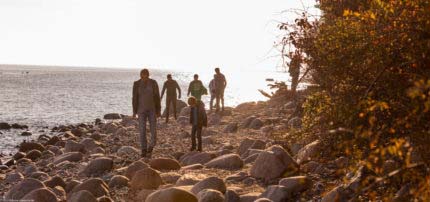 Wandern inmitten unberührter Natur: Die Ostseeinsel Rügen macht es möglich 50