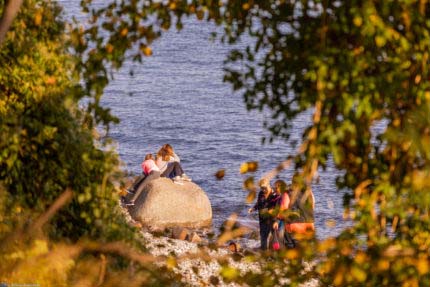 Wandern inmitten unberührter Natur: Die Ostseeinsel Rügen macht es möglich 515