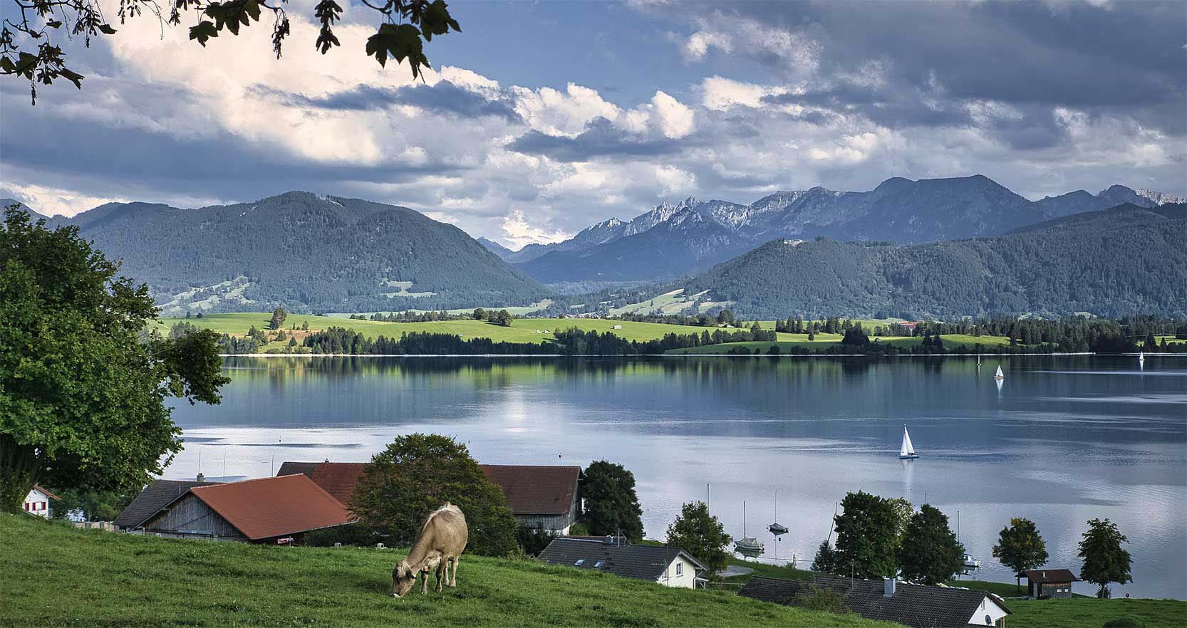 Forggensee 155