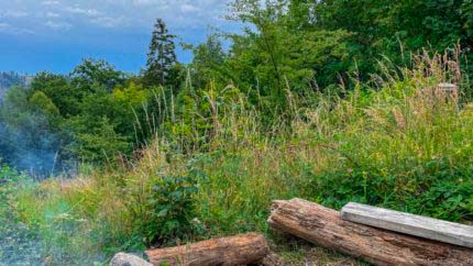 Trekking Südschwarzwald - 4 Camps in wilder Natur 14 Trekking Südschwarzwald - 4 Camps in wilder Natur 13