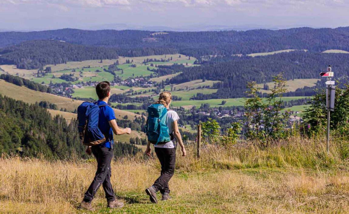 SoundscapeTourismus - Wald Geheimtipp