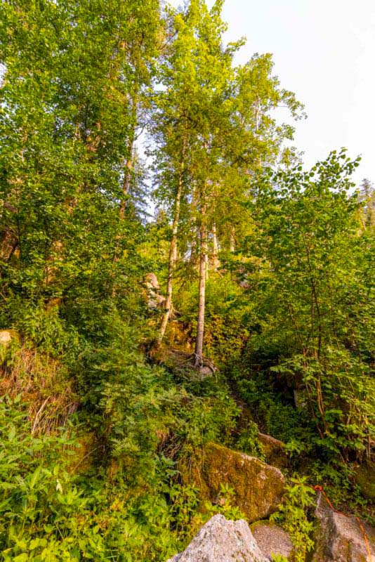 Teufelsküche im Albtal - Grandiose Schlucht im Schwarzwald 15