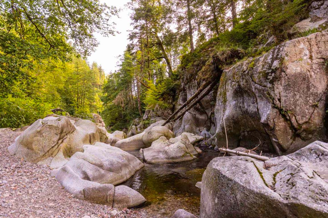 Teufelsküche im Albtal - Grandiose Schlucht im Schwarzwald 462