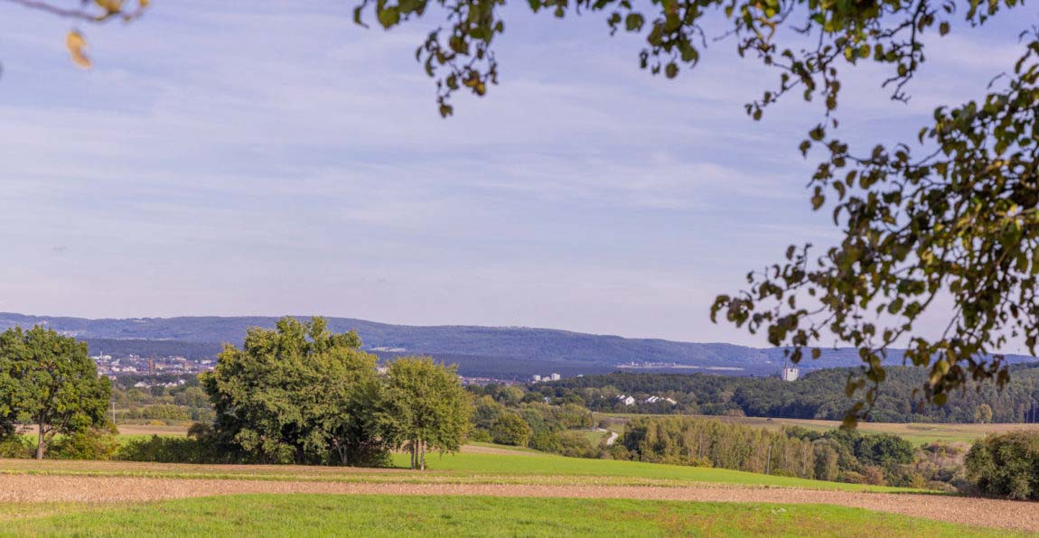 Wandern mit Hund in Franken - Mit Wasser, Schatten und Einkehr 24 Wandern mit Hund in Franken - Mit Wasser, Schatten und Einkehr 15