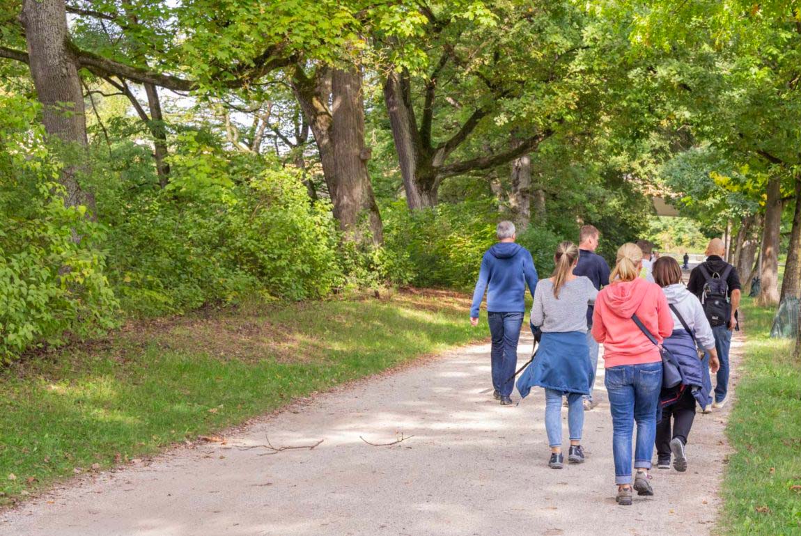 Wanderung von Bischberg nach Bamberg