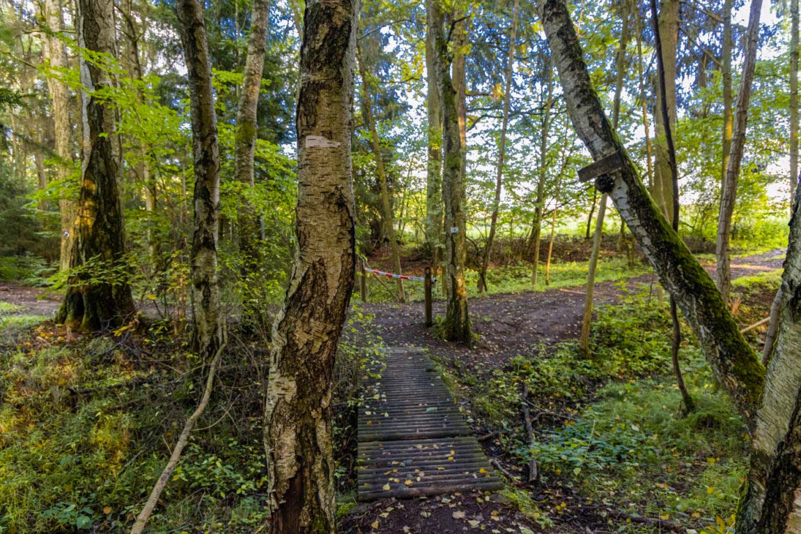 Urige Pfade führen euch zum Pfersag Wasserrfall