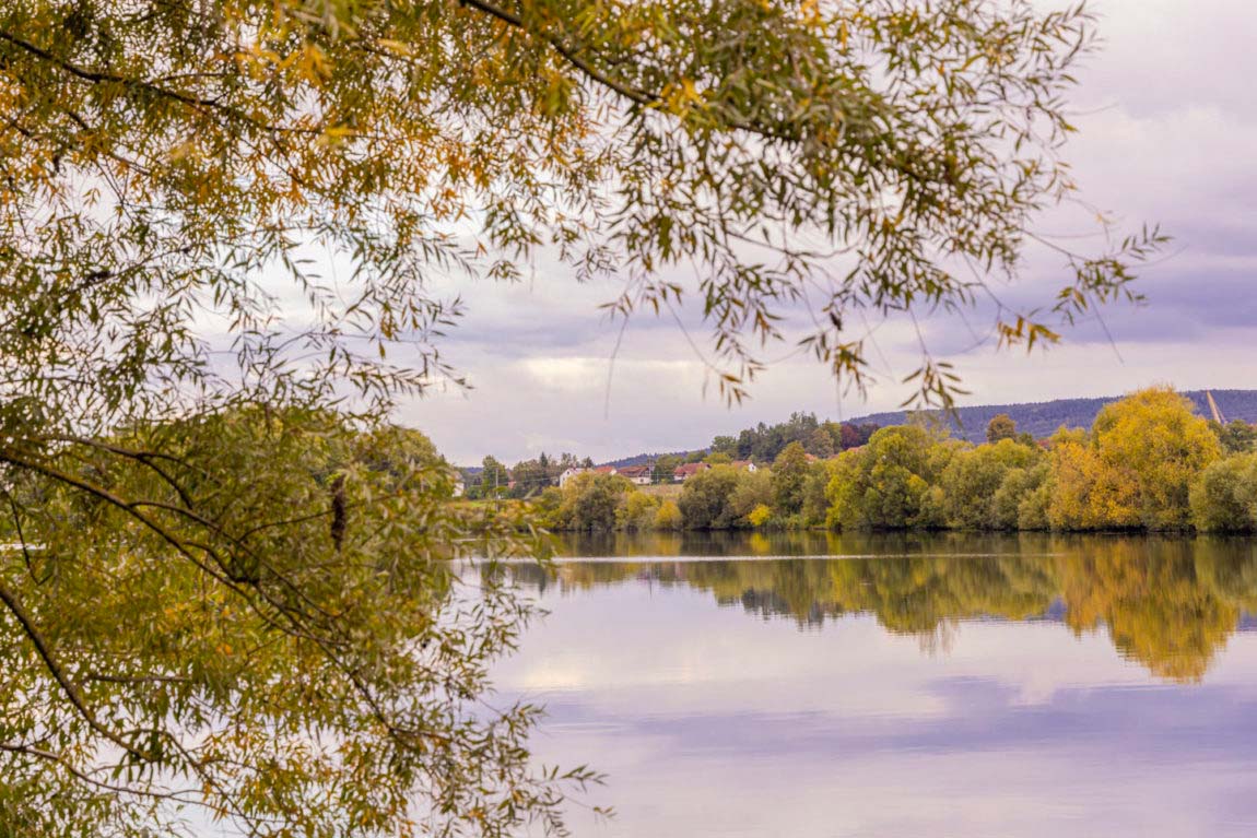 Wandern mit Hund in Franken - Mit Wasser, Schatten und Einkehr 29 Wandern mit Hund in Franken - Mit Wasser, Schatten und Einkehr 17