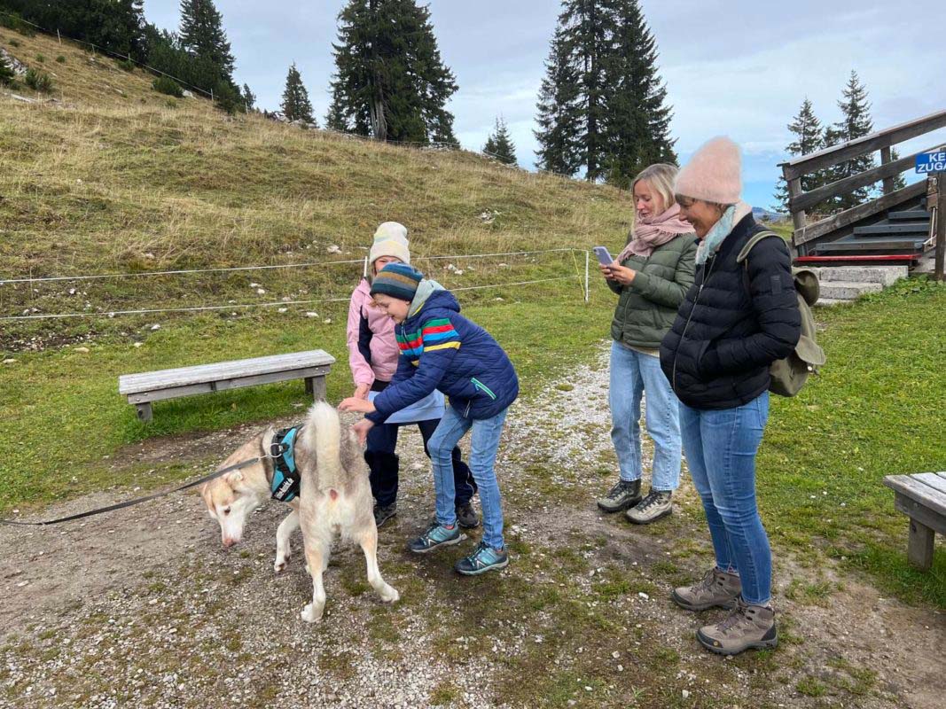 Wannenjoch Bergbahn in Schattwald 4