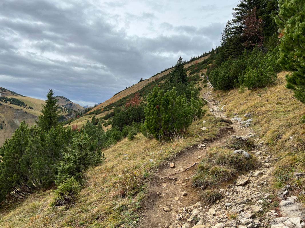 Wannenjoch Bergbahn in Schattwald 5