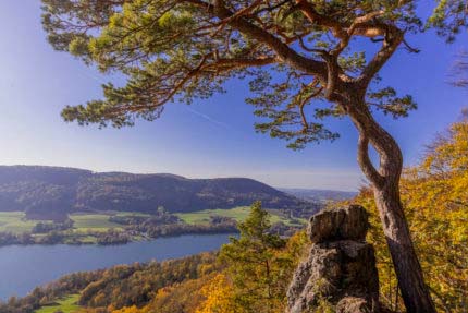 Wandern mit Hund in Franken - Mit Wasser, Schatten und Einkehr 5 Wandern mit Hund in Franken - Mit Wasser, Schatten und Einkehr 2
