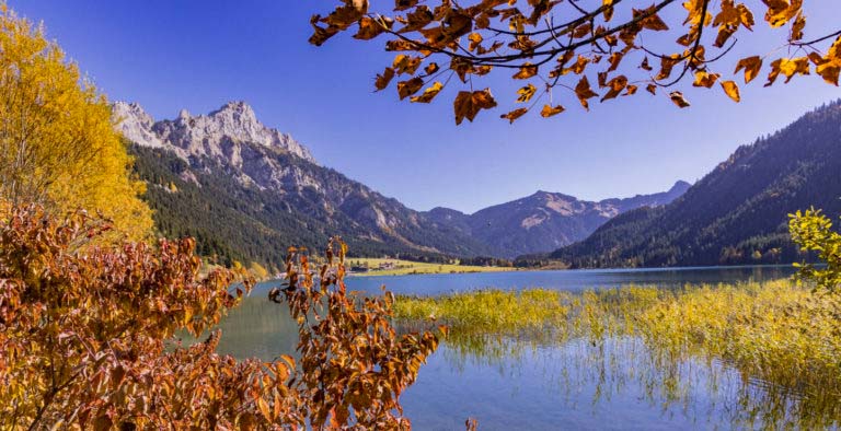 Der Haldensee - Bade- und Naturparadies 3 haldensee im Tannheimer Tal