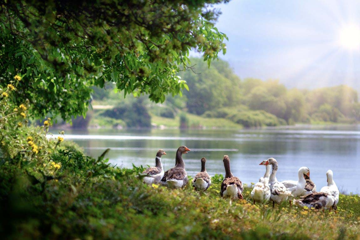 Ellertshäuser See - Stausee zum Baden und Freizeit 1