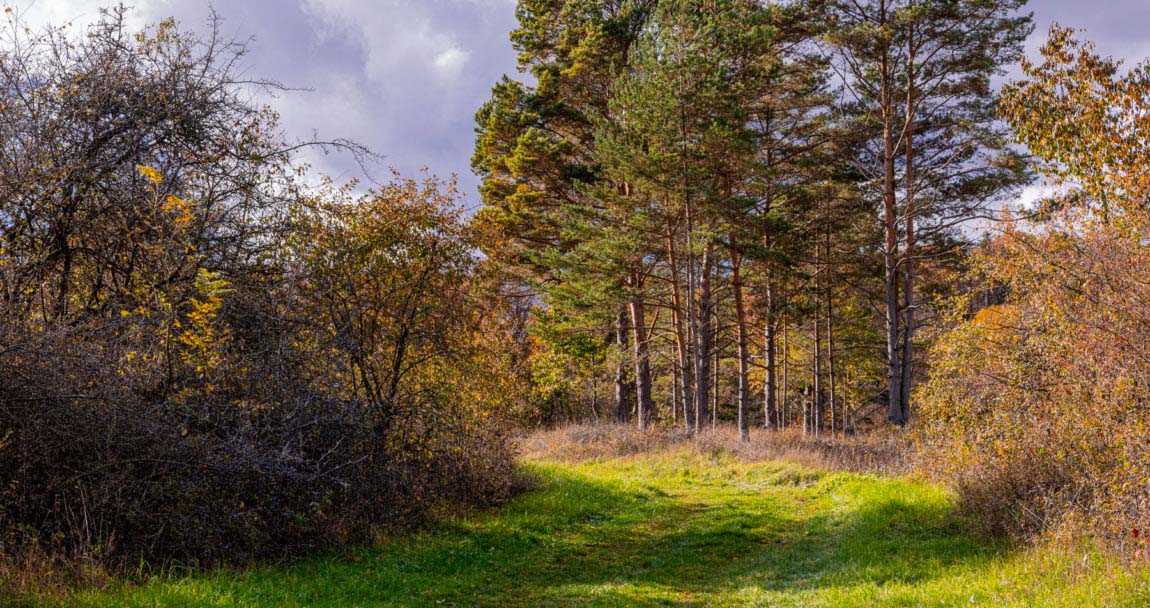 2 Täler Wanderung im Nürnberger Land 3 2 Täler Wanderung im Nürnberger Land 3