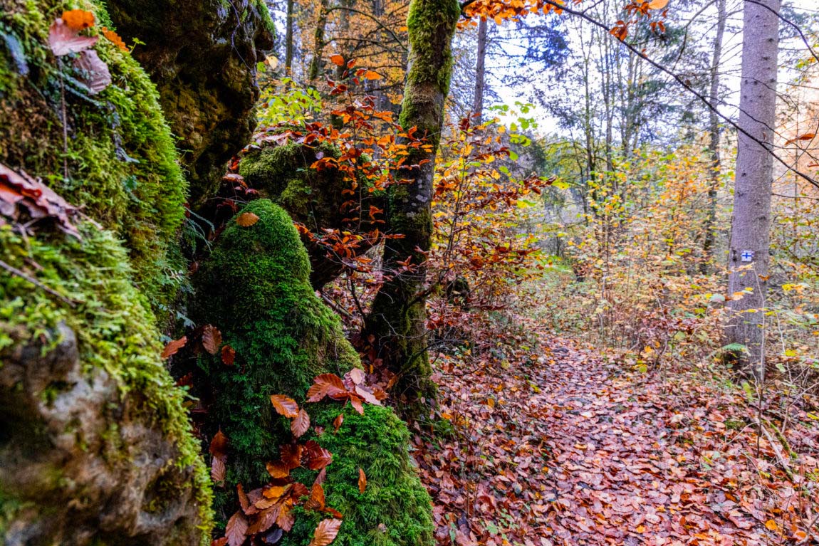 2 Täler Wanderung im Nürnberger Land 5 2 Täler Wanderung im Nürnberger Land 5