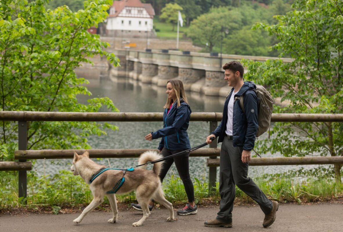 Wandern im Sauerland mit Hund - 5 Wege am Wasser mit Karten 5 Wandern mit Hund am Diemelsteig