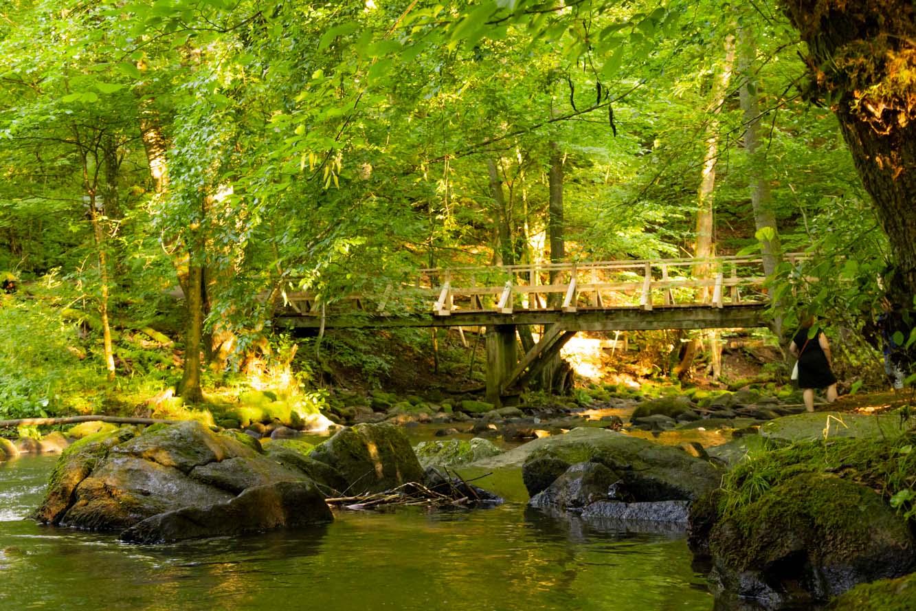 holzbachschlucht