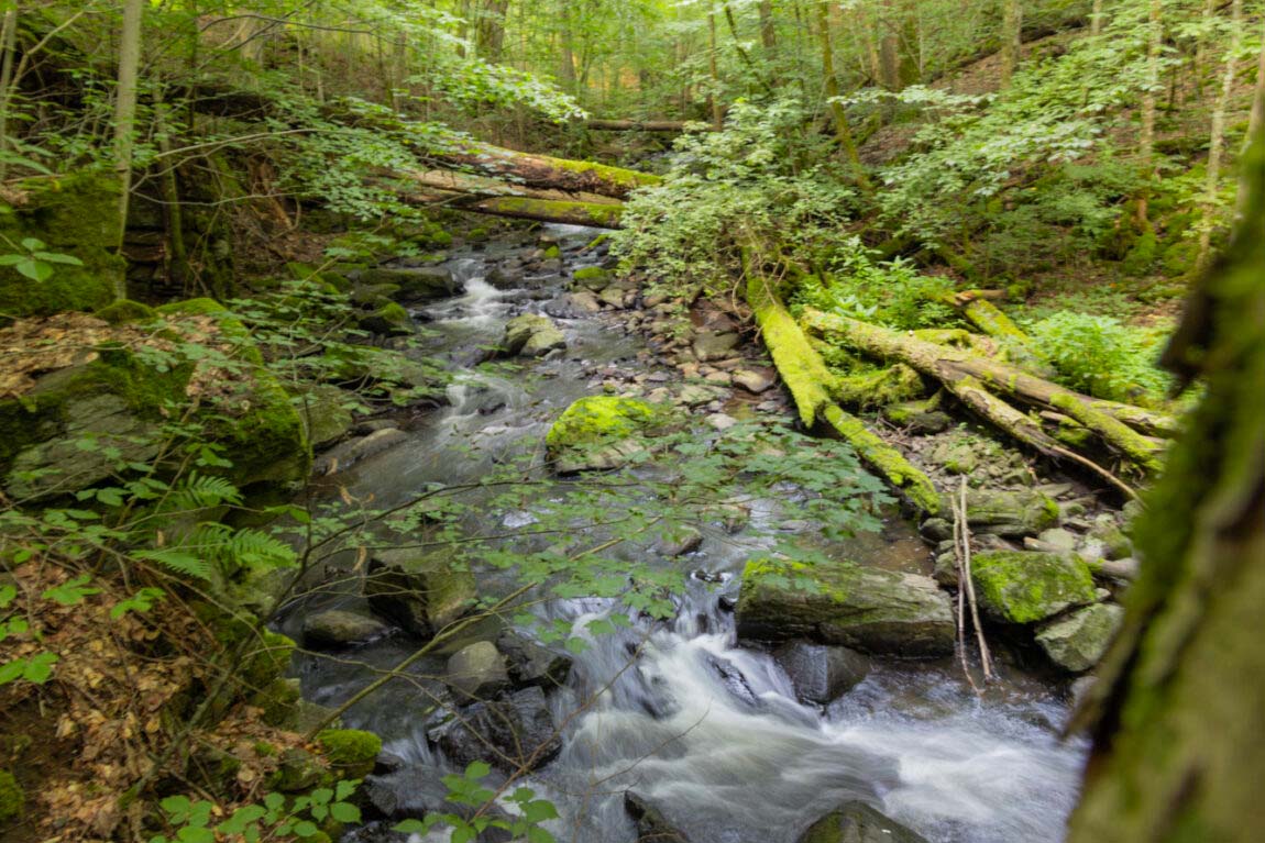 Die Holzbachschlucht - Wildes Wasser in der Natur 5 Die Holzbachschlucht - Wildes Wasser in der Natur 5