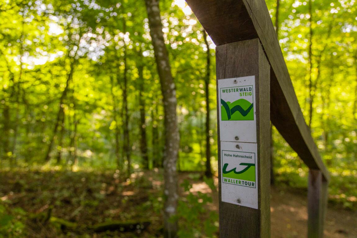 Die Holzbachschlucht - Wildes Wasser in der Natur 3 Die Holzbachschlucht - Wildes Wasser in der Natur 3