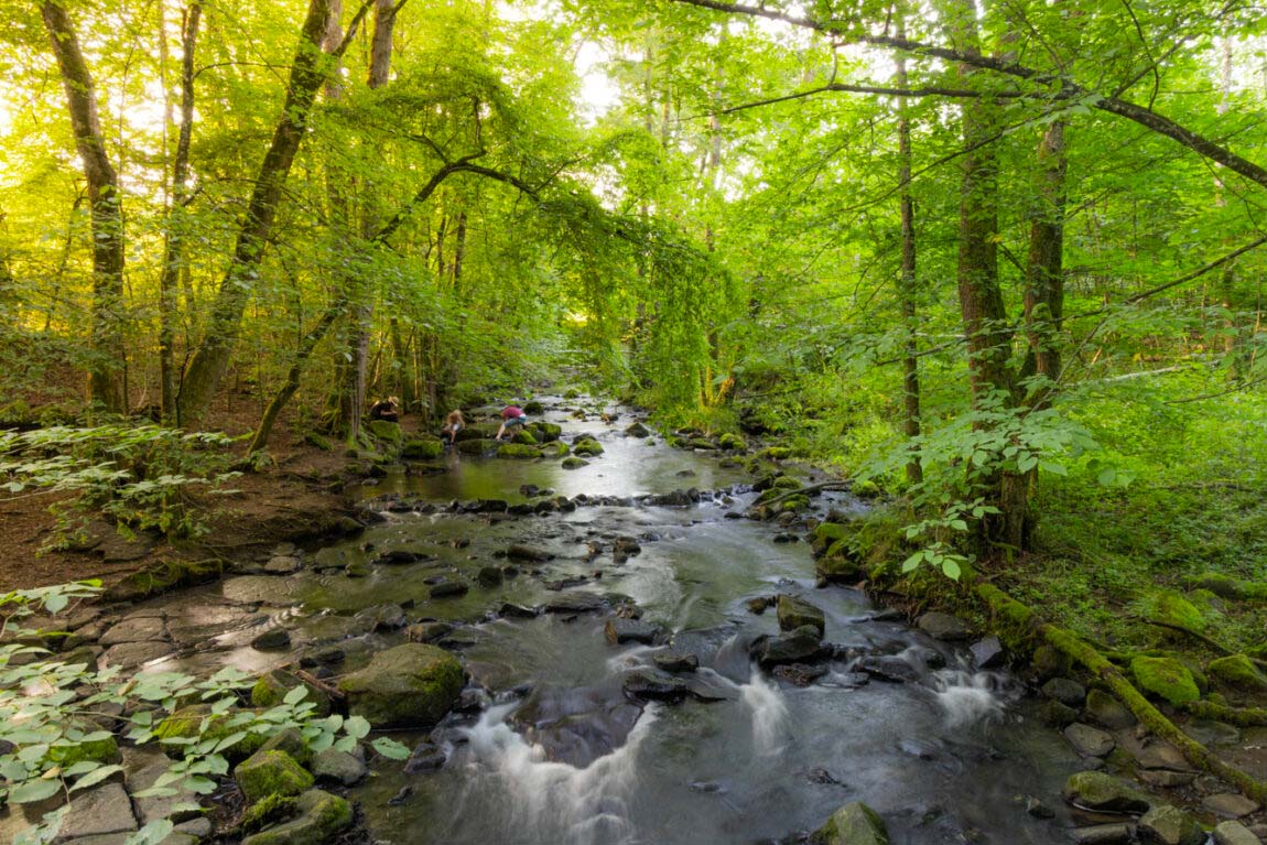 Die Holzbachschlucht - Wildes Wasser in der Natur 4 Die Holzbachschlucht - Wildes Wasser in der Natur 4