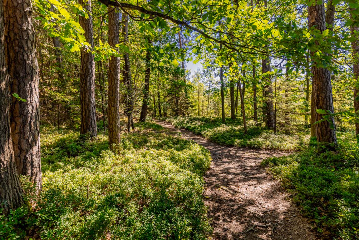 Bierwanderwege in Franken - Erlebt Natur und Braukunst 18 Brauereienweg Waischenfeld