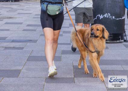 Wanderwege für Hunde in Hessen