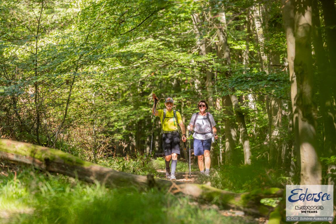 Kellerwaldsteig - Tolle Buchenwälder, viel Natur und Aussichten