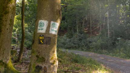 Watzenhahner Riesen - Eine Beeindruckende Felsformation 18 Watzenhahner Riesen - Eine Beeindruckende Felsformation 10