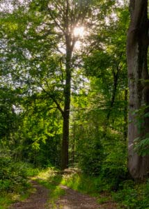 Watzenhahner Riesen - Eine Beeindruckende Felsformation 12 Watzenhahner Riesen - Eine Beeindruckende Felsformation 5