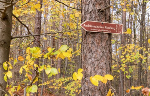 Windburg Wanderung - Eine Idyllische Aussicht bei Schlossberg 18 Windburg Wanderung - Eine Idyllische Aussicht bei Schlossberg 10