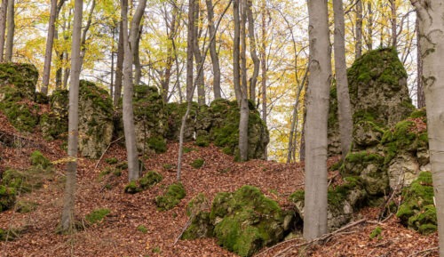 Windburg Wanderung - Eine Idyllische Aussicht bei Schlossberg 17 Windburg Wanderung - Eine Idyllische Aussicht bei Schlossberg 9