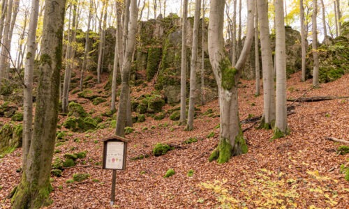 Windburg Wanderung - Eine Idyllische Aussicht bei Schlossberg 20 Windburg Wanderung - Eine Idyllische Aussicht bei Schlossberg 12