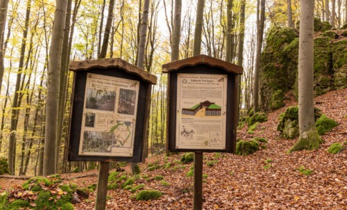 Windburg Wanderung - Eine Idyllische Aussicht bei Schlossberg 22 Windburg Wanderung - Eine Idyllische Aussicht bei Schlossberg 14