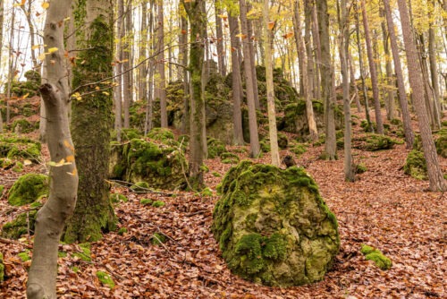 Windburg Wanderung - Eine Idyllische Aussicht bei Schlossberg 25 Windburg Wanderung - Eine Idyllische Aussicht bei Schlossberg 16