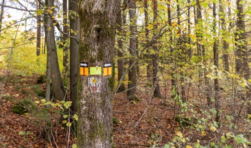 Windburg Wanderung - Eine Idyllische Aussicht bei Schlossberg 33 Windburg Wanderung - Eine Idyllische Aussicht bei Schlossberg 23